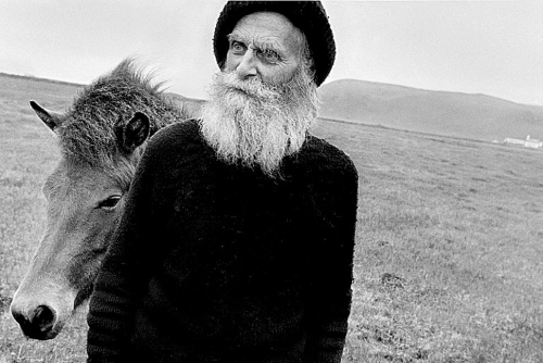 Last Days of the Arctic