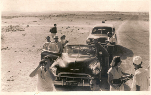 In Search of Oil and Sand