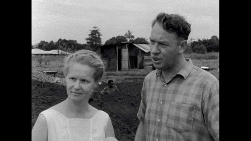 Concerning Violence