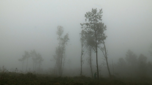 Coast of Death