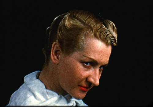 THE KODACHROME ELEGIES