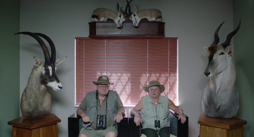 SAFARI