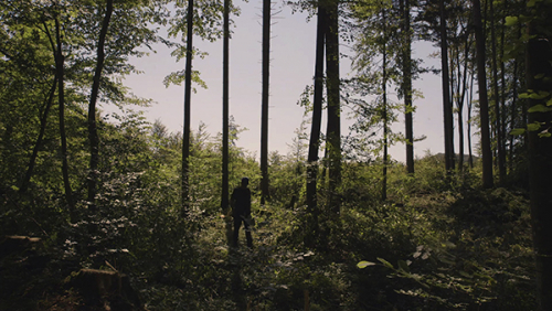 Greetings From Free Forests