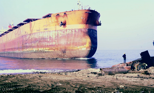 All That Perishes at the Edge of Land