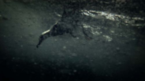 Leviathan