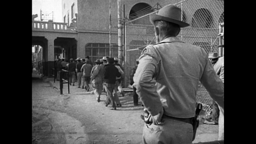 The Rifleman