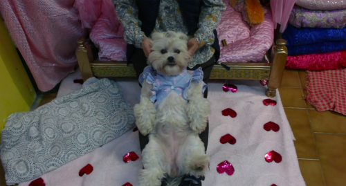Material Girl