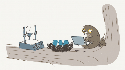 Cuckoo